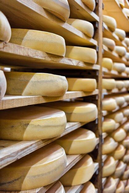 Fromages en cours d'affinage sur des étagères
