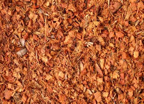 Illustration de diverses formes de paillage de coco et ses applications