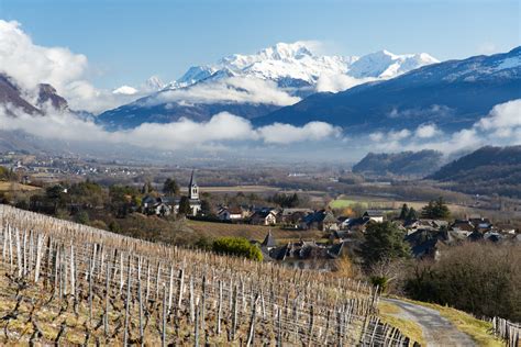 Vignoble en Savoie