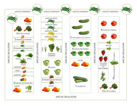 Composition du Jardin de Légumes