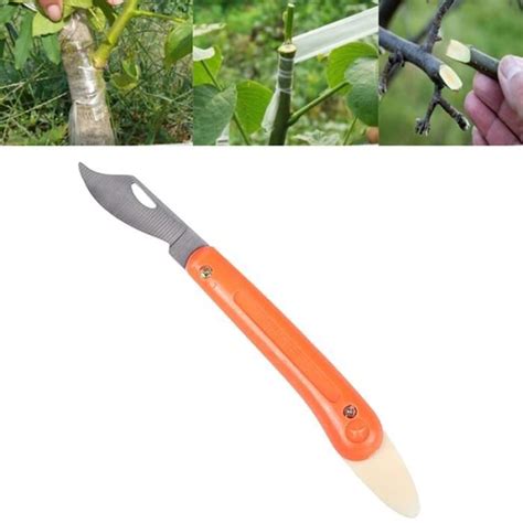 Outils de greffage apicole