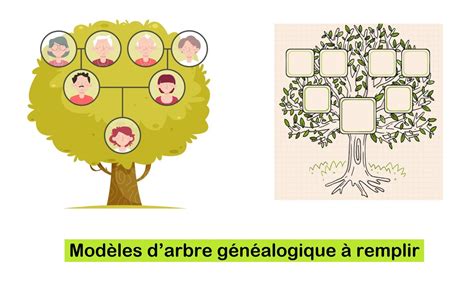 Diagramme simplifié d'un arbre généalogique mettant en évidence les relations de tutelle