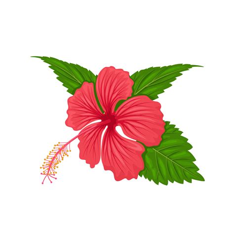 Illustration d'un bracelet hibiscus stylisé avec des éléments de la culture réunionnaise