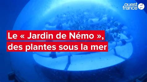 jardin sous-marin expérimental