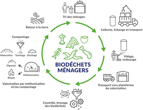 Schéma illustrant le cycle des biodéchets du foyer vers le composteur