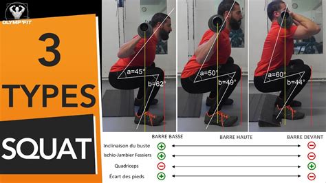 Infographie comparant la progression de force entre squat et step up