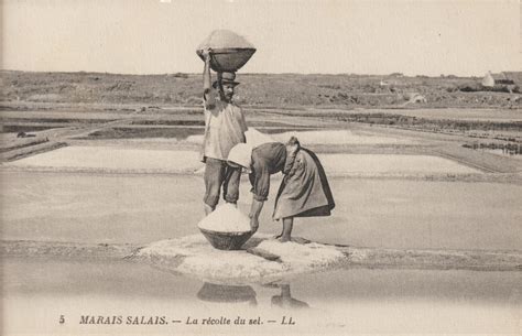 Carte postale ancienne représentant la récolte du sel