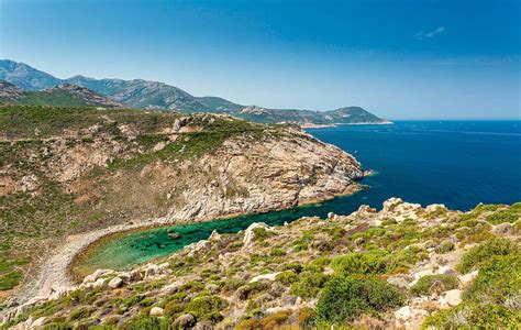 Paysage de pâturages en Corse avec brebis en liberté