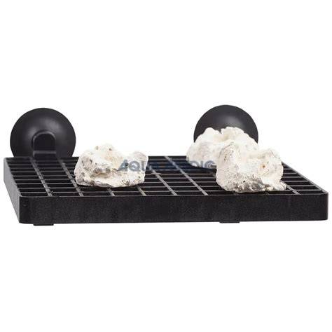 Différents types de supports pour boutures de coraux