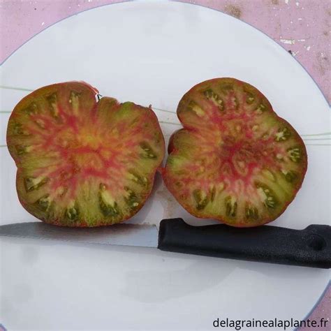 Plan de coupe d'une tomate Captain Lucky révélant sa chair marbrée kaléidoscopique