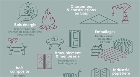 Infographie des types de bois et leur efficacité de combustion