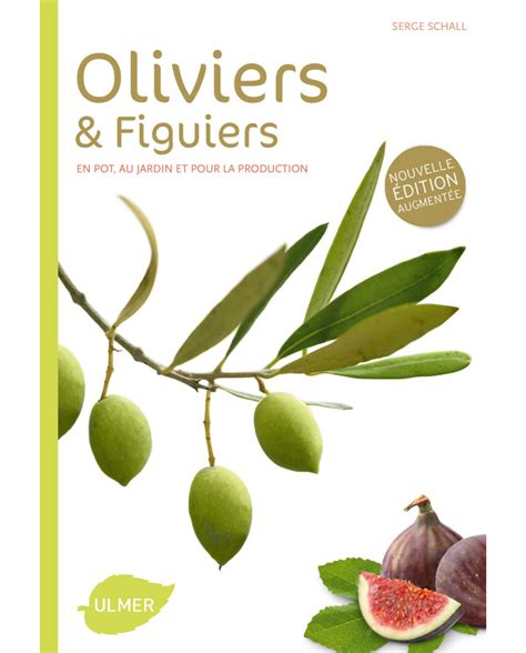 Carte de répartition des figuiers et oliviers en Méditerranée
