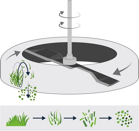 Schéma technique expliquant le processus de mulching : coupe fine et fertilisation naturelle