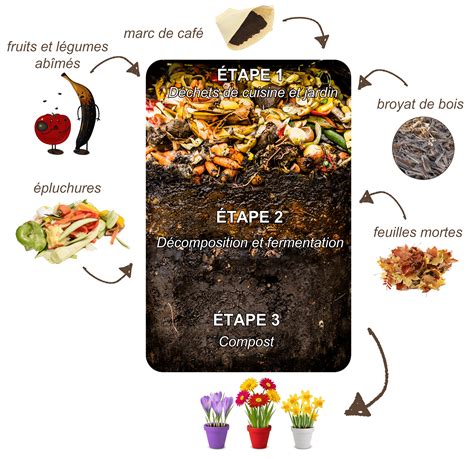 Schéma illustrant le cycle naturel de décomposition des matières organiques dans un composteur domestique