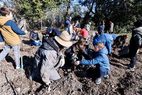 Planter des arbres, agroforesterie, enfants