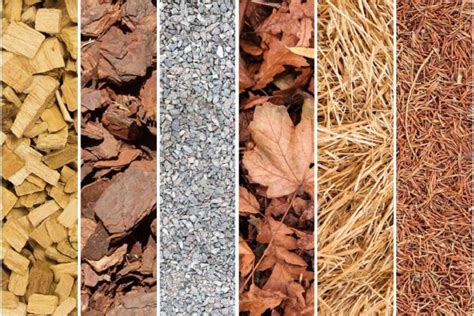 Divers types de paillage organique : copeaux de bois, paille, feuilles mortes