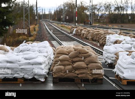 Des sacs d'olives prêts à être transportés vers le moulin