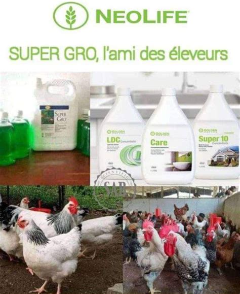 Bouteille de Super Gro Neolife
