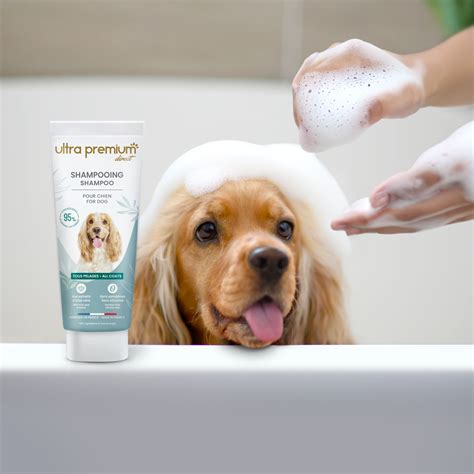 Kit complet de produits d'hygiène pour chien