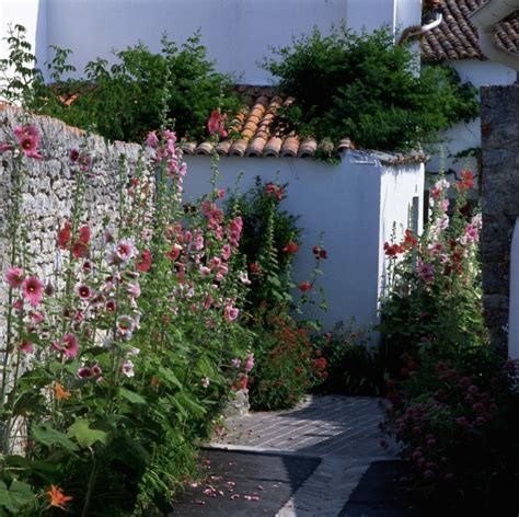 Plan d'ensemble d'un jardin romantique avec des roses trémières en arrière-plan