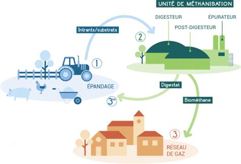 Schéma illustrant le cycle du fumier équin de l'écurie vers l'amendement agricole