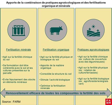 Infographie montrant les étapes de fertilisation pour une jardinière