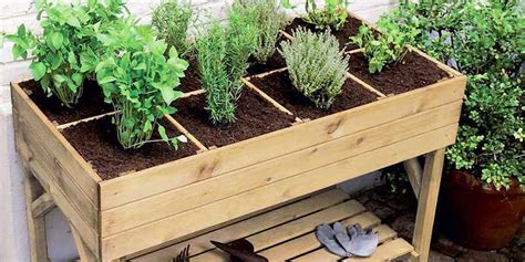 plan d'un petit potager sur balcon