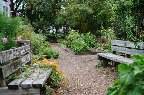 jardin thérapeutique avec allées accessibles