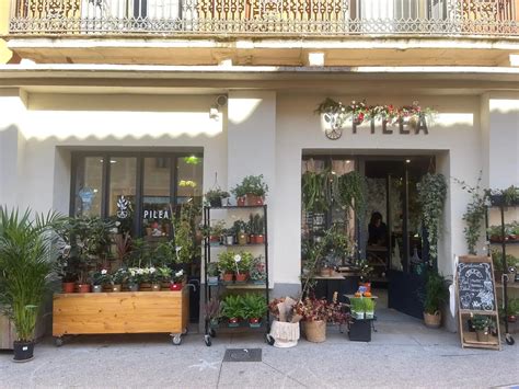 Vue d'ensemble d'une jardinerie urbaine spécialisée