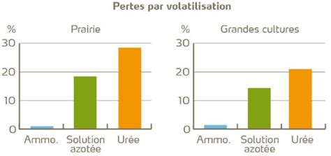 Graphique comparatif des pertes par volatilisation entre urée et ammonitrate