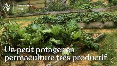 Photo d'un jardin permacole mature montrant une diversité de strates et une harmonie visuelle