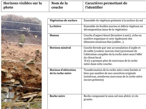 Infographie montrant la profondeur idéale du sol selon la discipline pratiquée