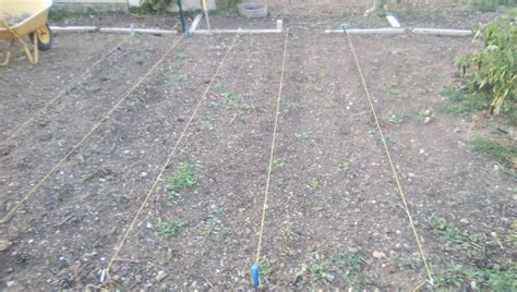 Un jardinier utilisant un cordeau pour délimiter une parcelle de plantation