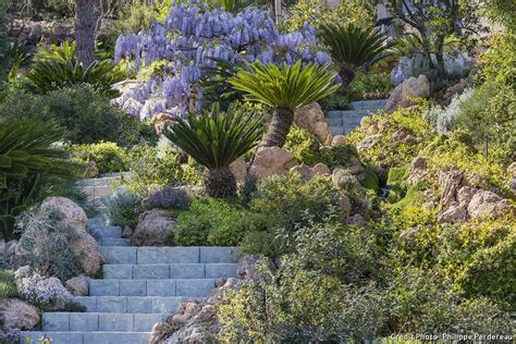 Exemple de jardin méditerranéen