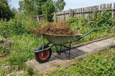 une brouette remplie de fumier dans un jardin potager