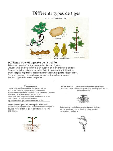 types de fumiers et leurs caractéristiques