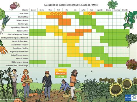 calendrier des cultures et utilisation du fumier