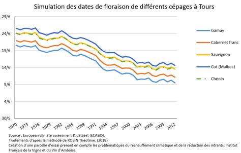 Graphique comparatif des dates de floraison et de récolte sur les 50 dernières années