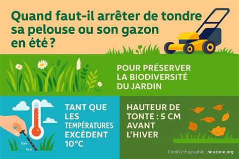 Démonstration de tonte à la machine lors d'une épreuve du championnat