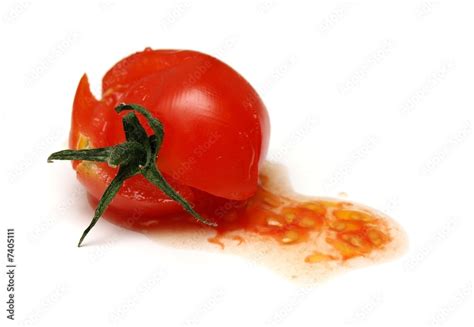 Tomate éclatée
