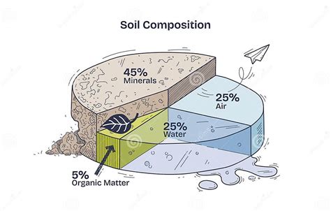 Diagram showing optimal soil composition for Alliums with gravel and sand