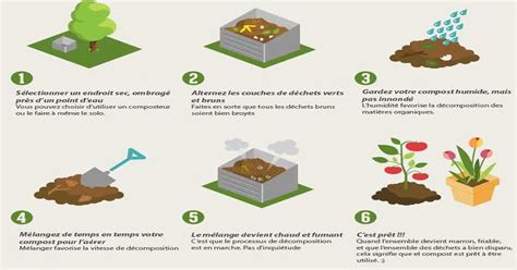 Infographie : Les étapes de maturation du compost, du stade demi-mûr au compost complet