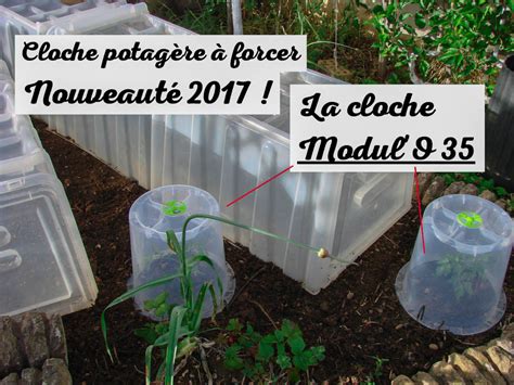 Exemple d'une cloche potagère Pouss'Vert en utilisation