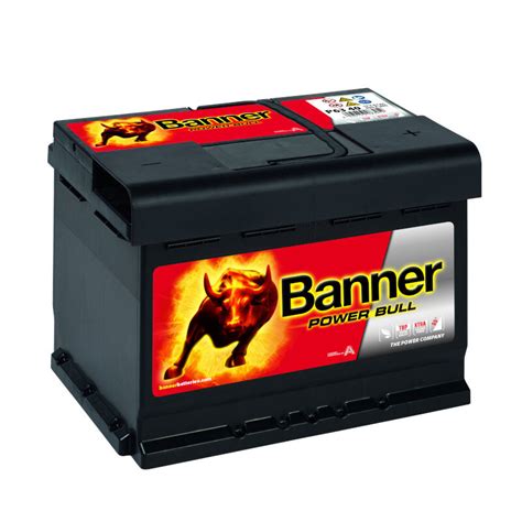 Batterie Banner Power Bull