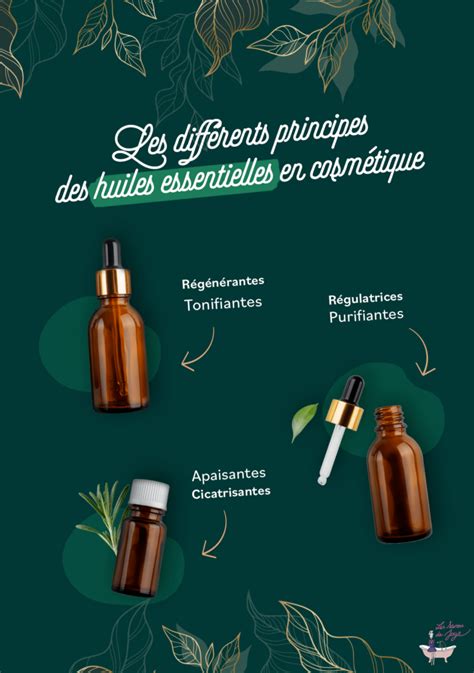 Infographie montrant la synergie des huiles essentielles et végétales