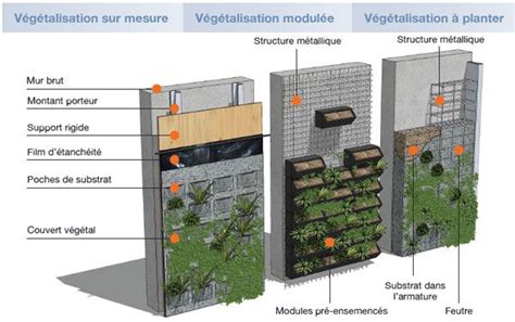 Schéma de drainage pour mur végétal