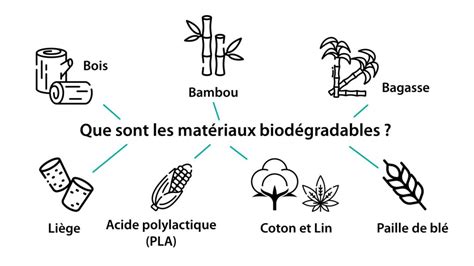Infographie sur les matériaux des couches biodégradables