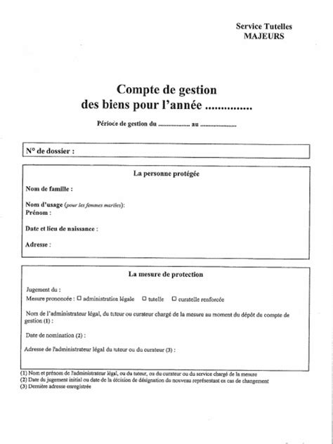 Infographie présentant la structure idéale d'un compte de gestion de tutelle sur Excel