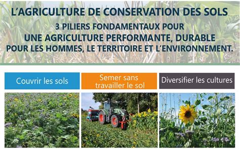 Schéma explicatif de l'agriculture de conservation des sols