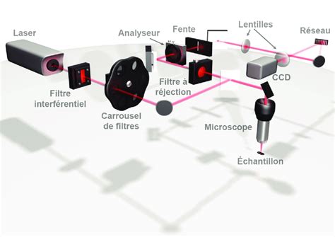 Schéma explicatif du chemin optique d'un vidéoprojecteur montrant la lampe, le réflecteur et la lentille